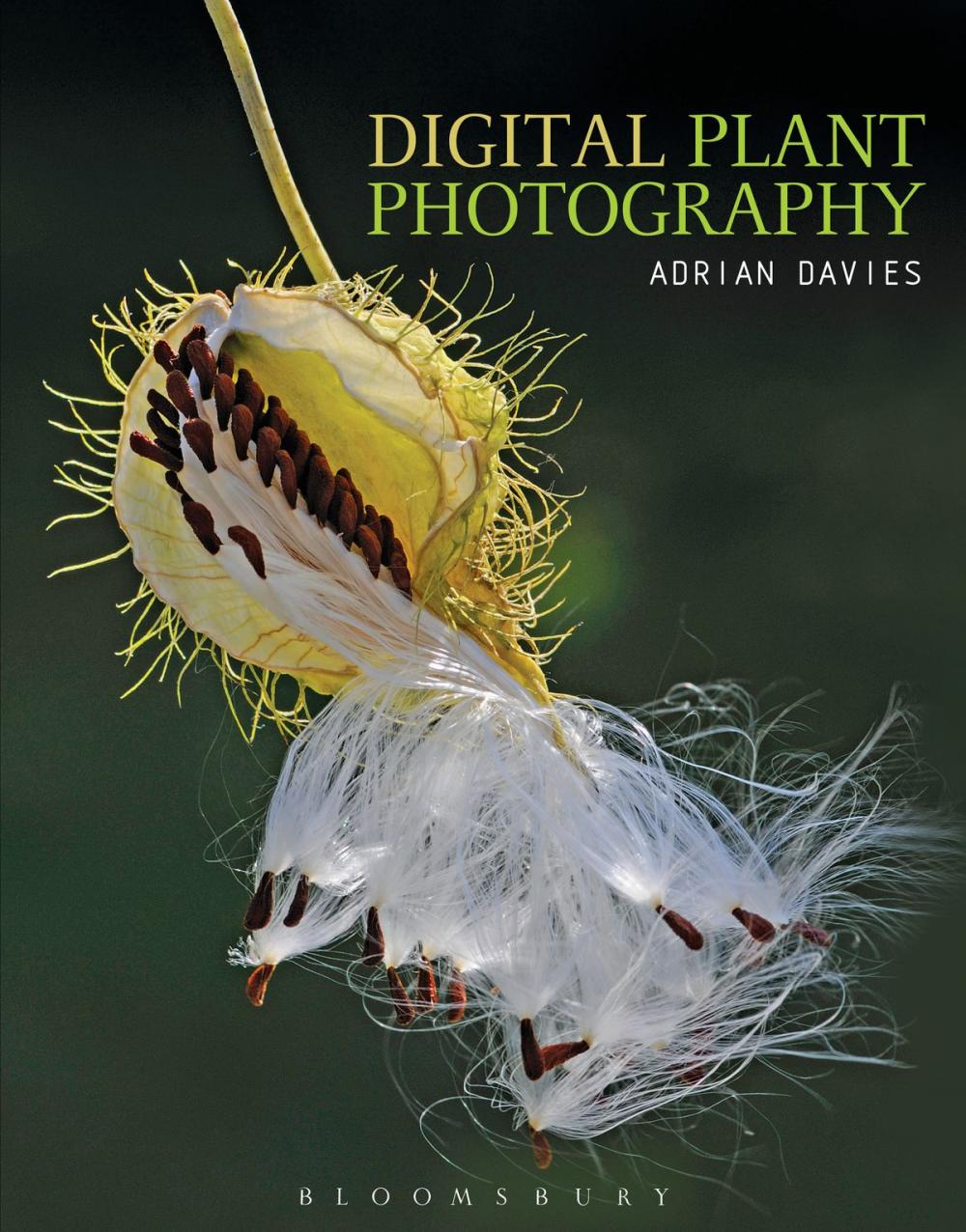 Big bigCover of Digital Plant Photography