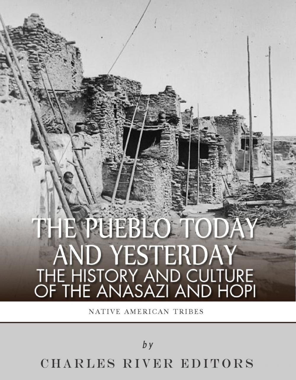 Big bigCover of The Pueblo of Yesterday and Today: The History and Culture of the Anasazi and Hopi