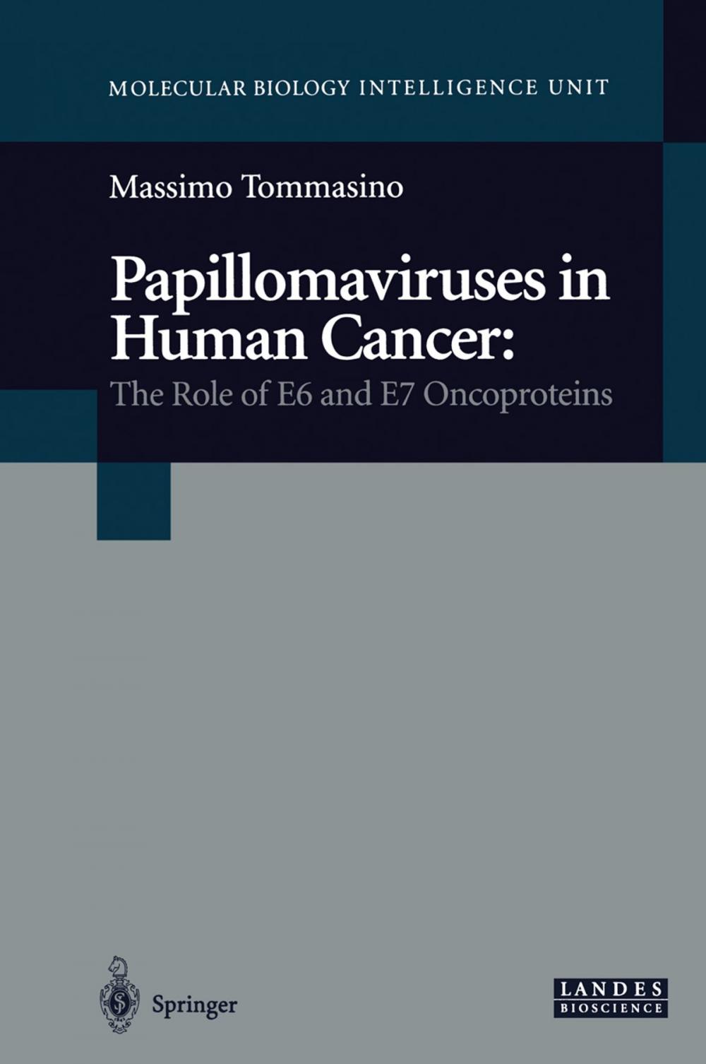 Big bigCover of Papillomaviruses in Human Cancer