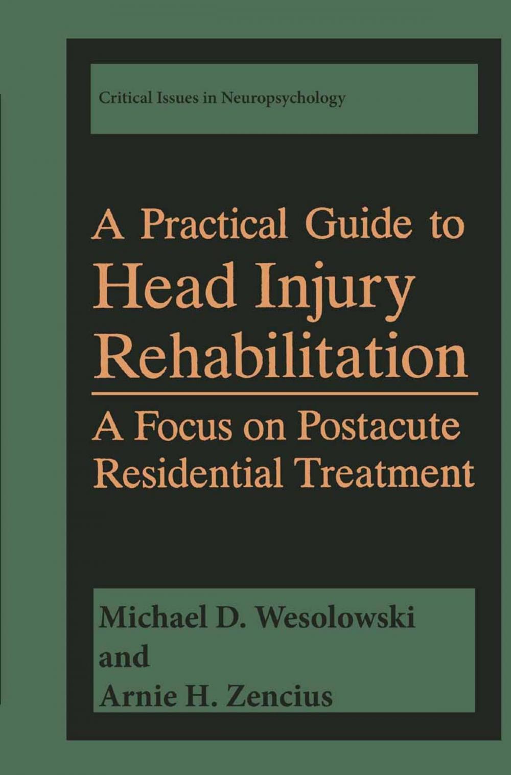 Big bigCover of A Practical Guide to Head Injury Rehabilitation