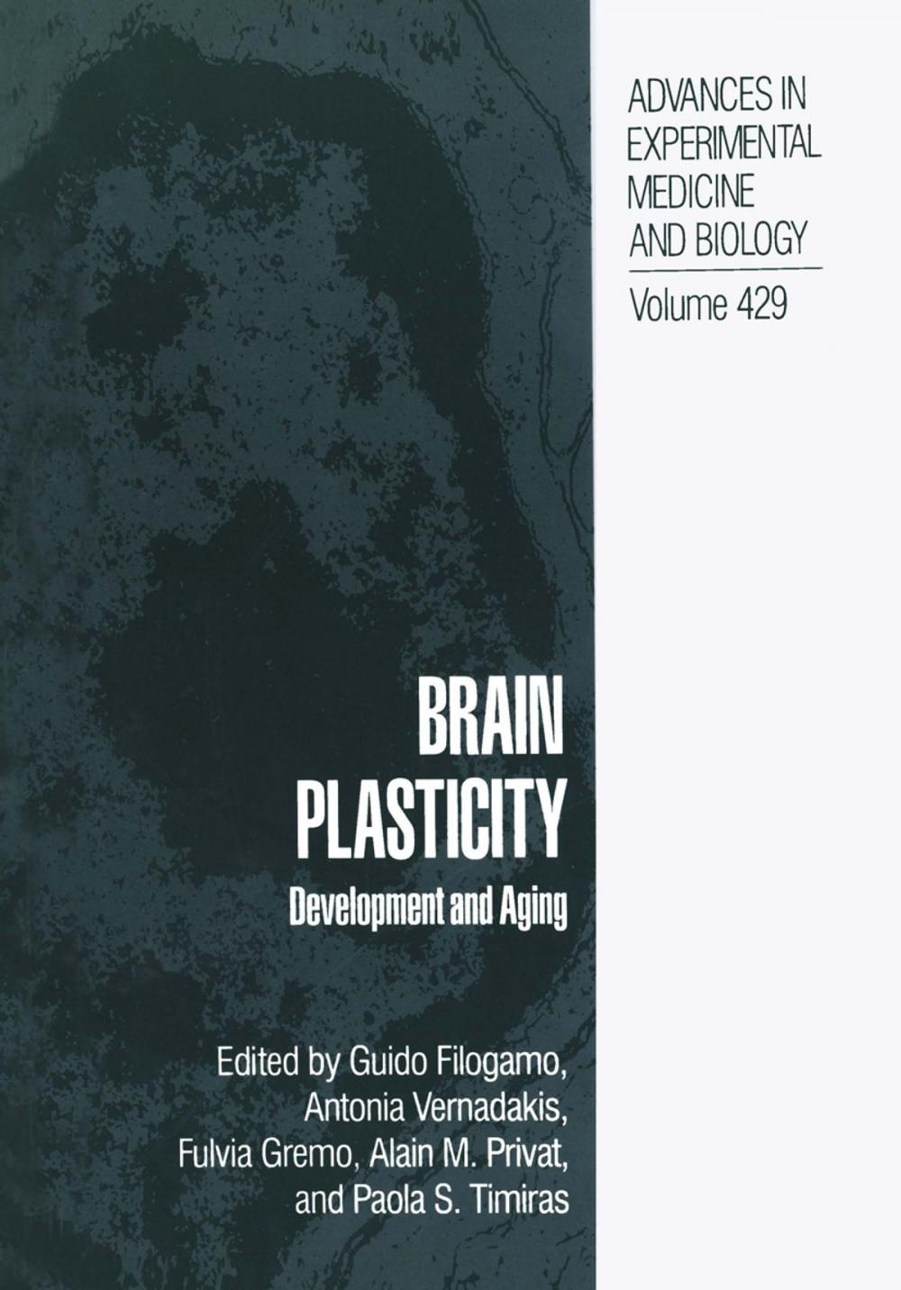 Big bigCover of Brain Plasticity