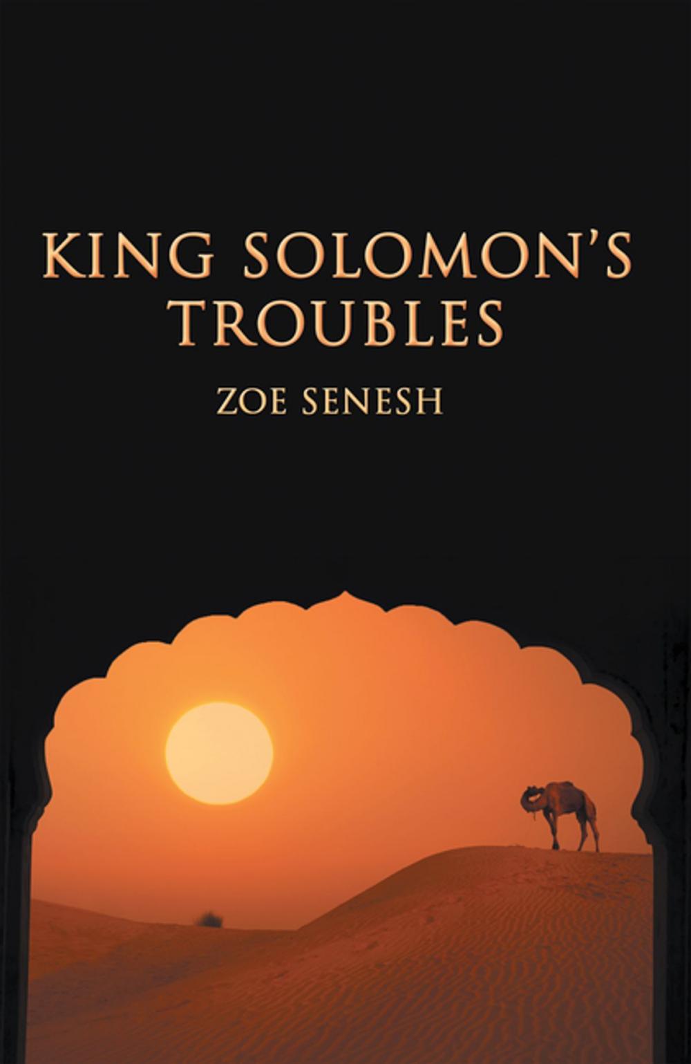 Big bigCover of King Solomon’s Troubles