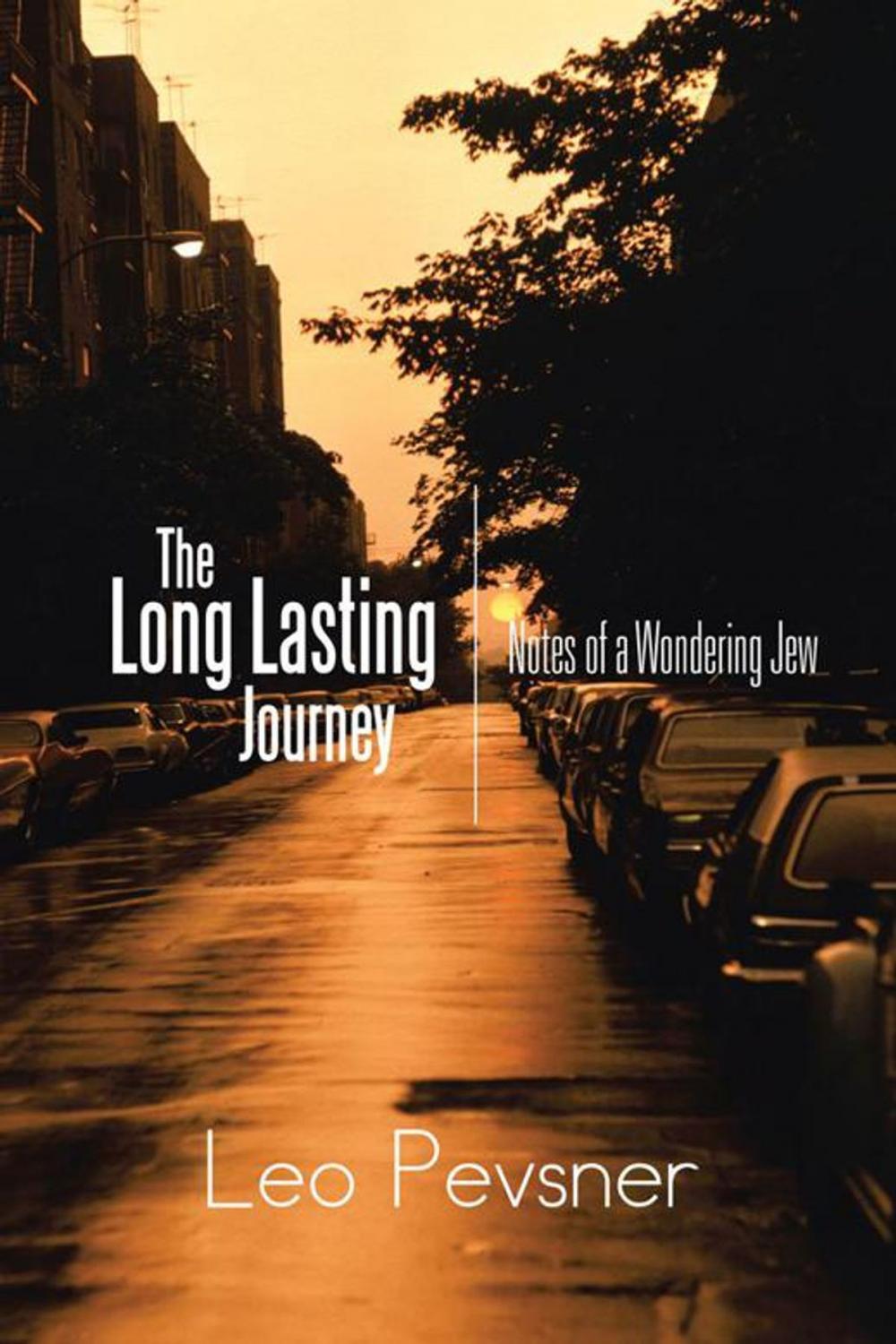 Big bigCover of The Long Lasting Journey