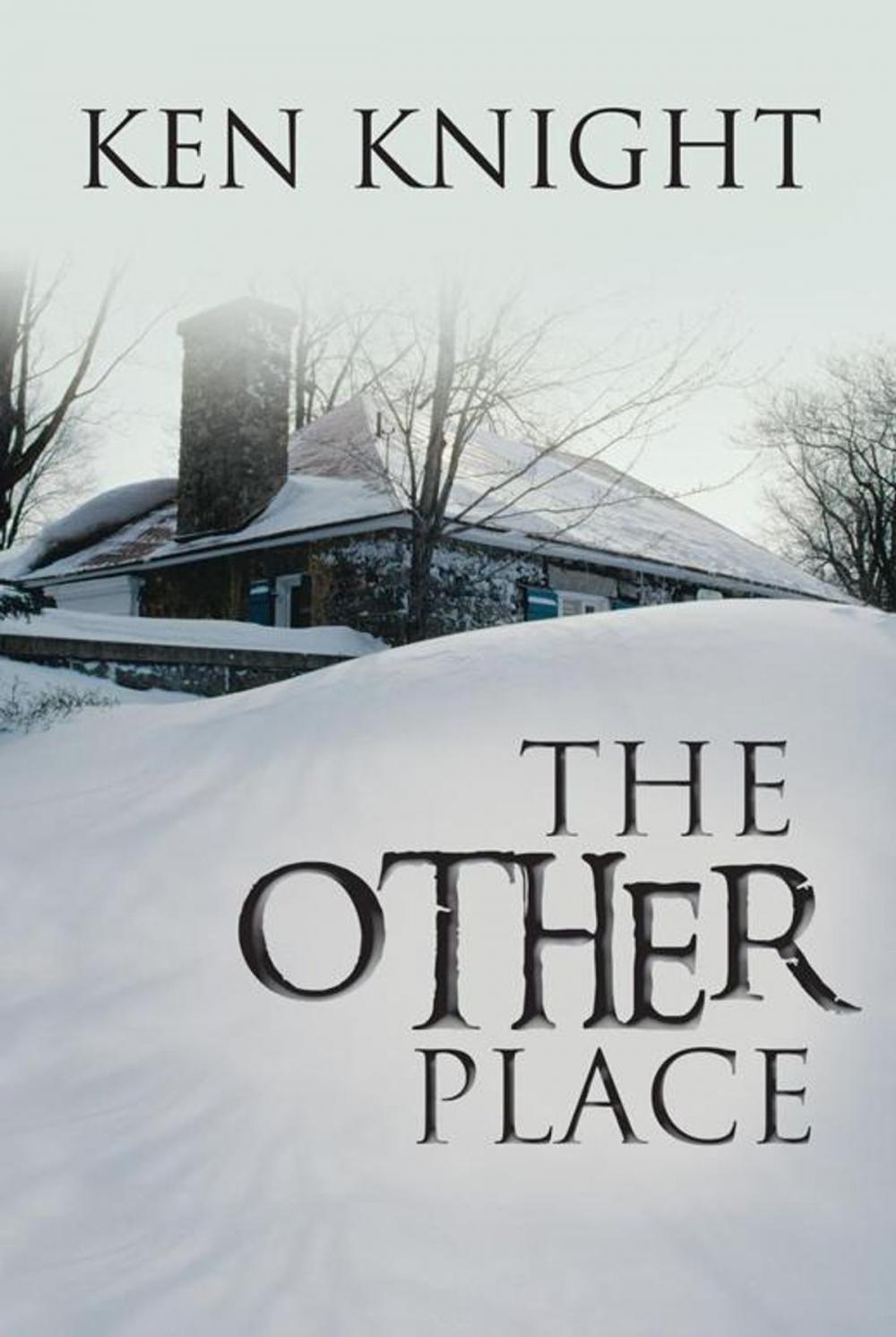 Big bigCover of “The Other Place”