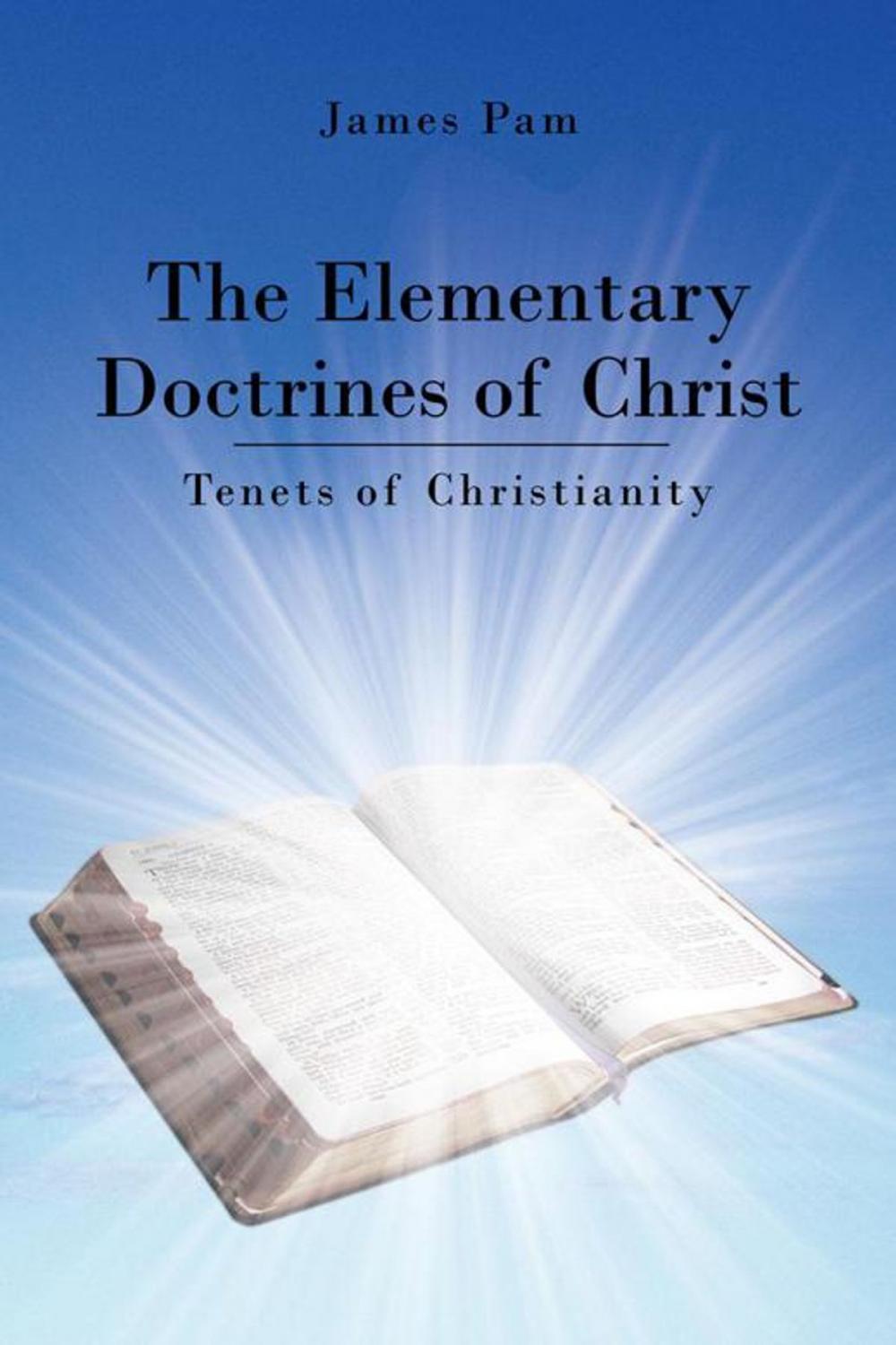 Big bigCover of The Elementary Doctrines of Christ