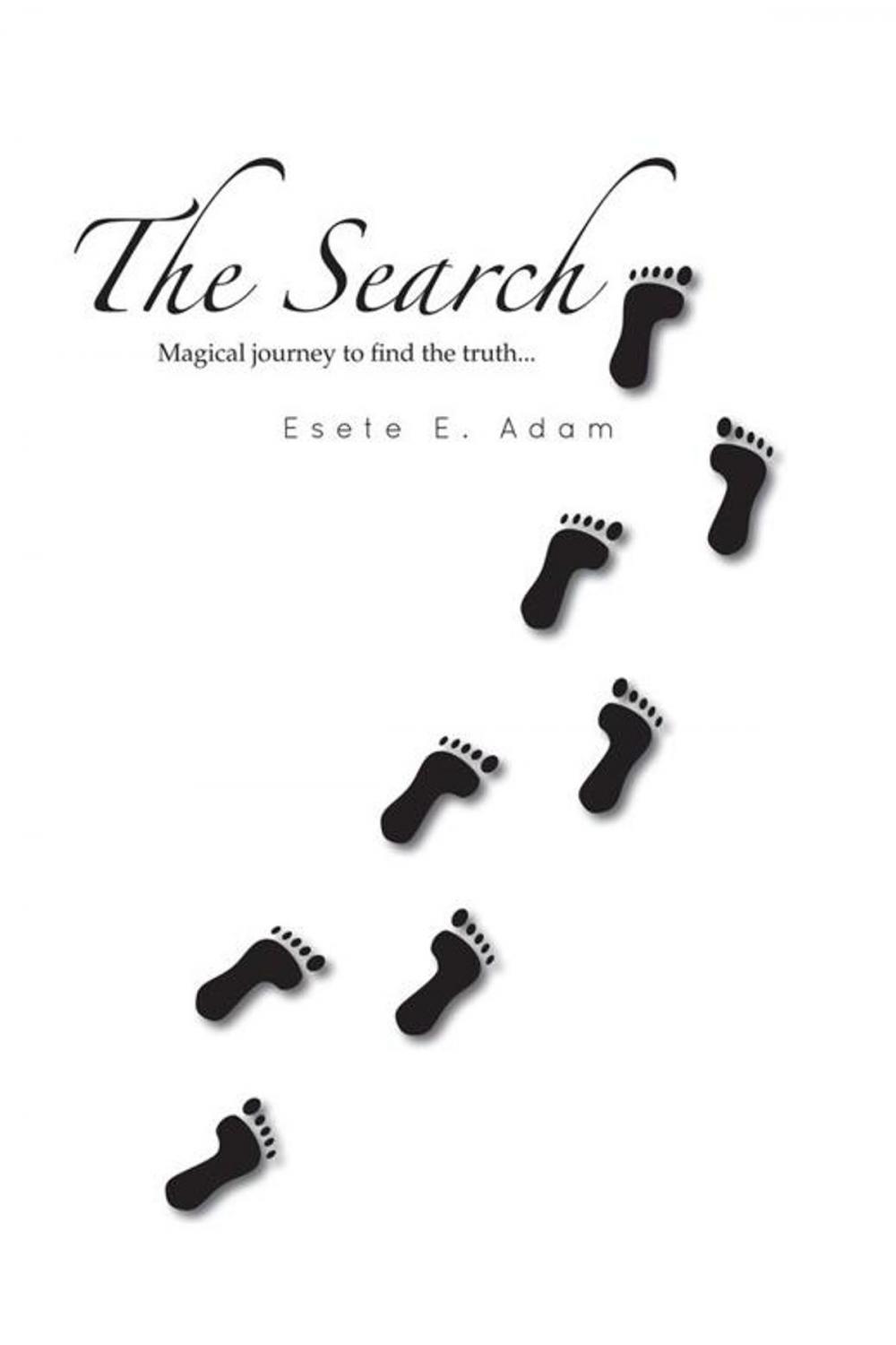 Big bigCover of The Search