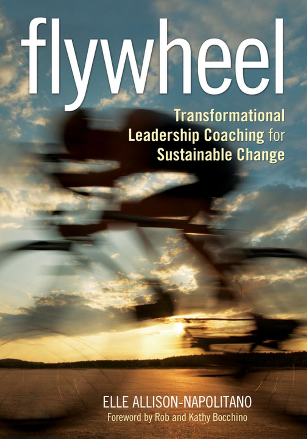 Big bigCover of Flywheel