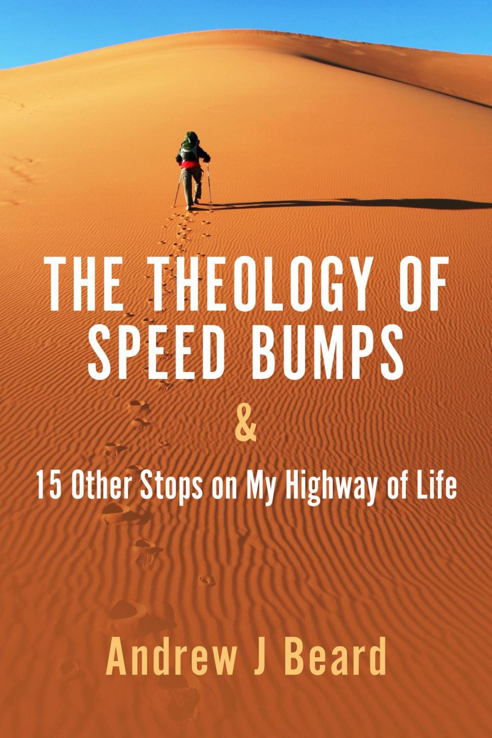 Big bigCover of The Theology of Speed Bumps & 15 Other Stops on My Highway of Life