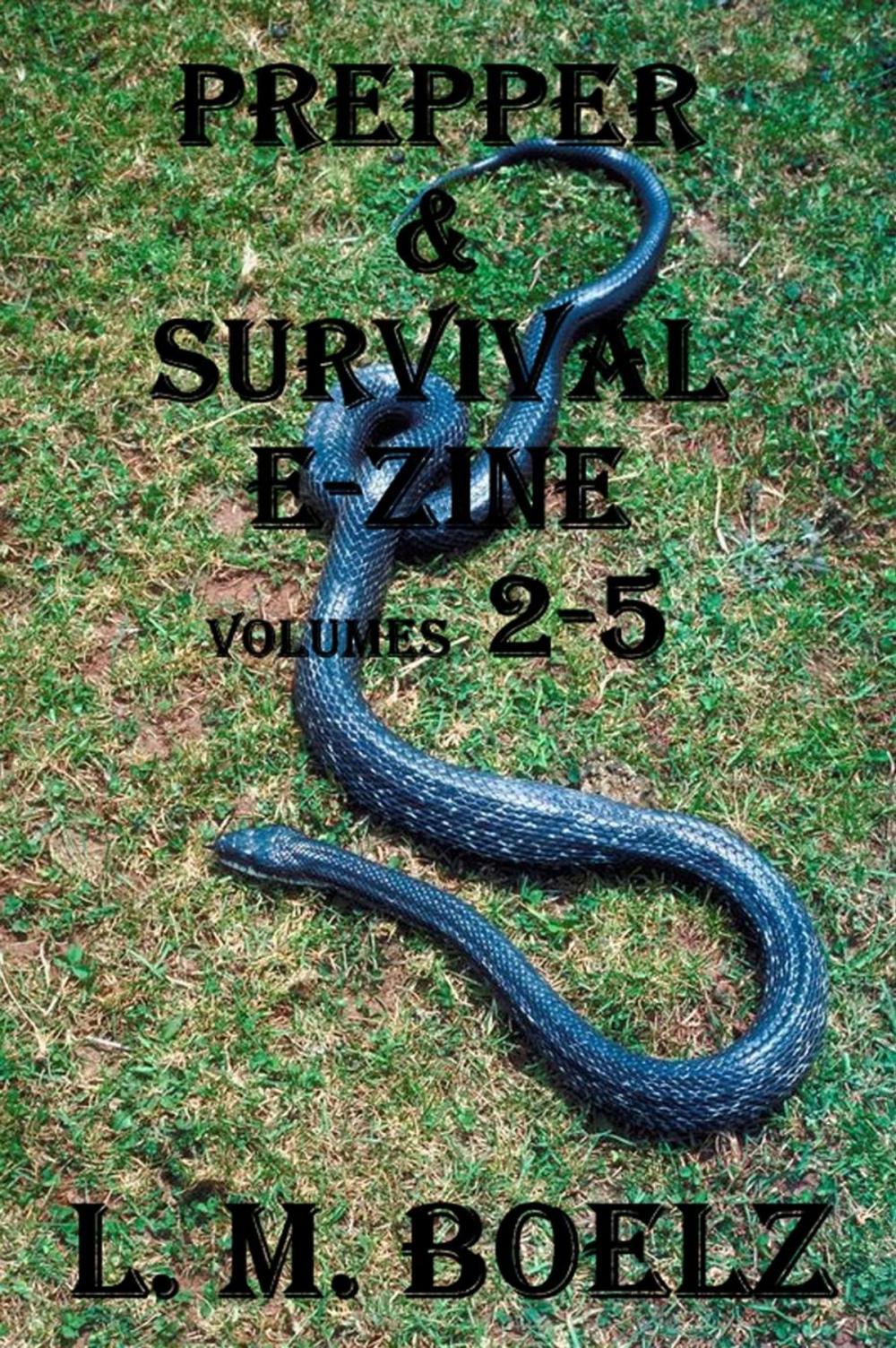 Big bigCover of Prepper & Survival E-Zine 2- 5