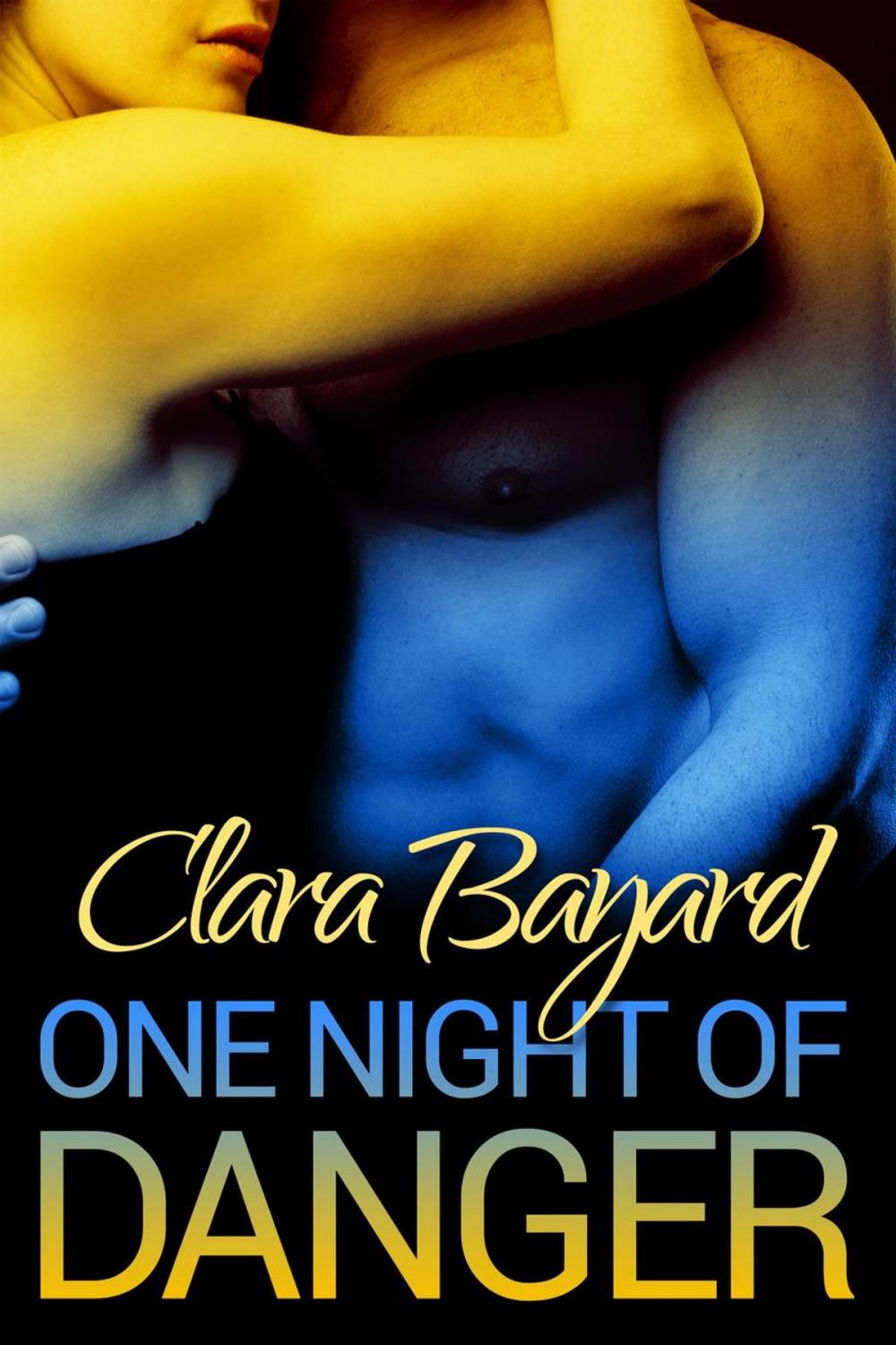 Big bigCover of One Night of Danger (BBW Romantic Suspense)