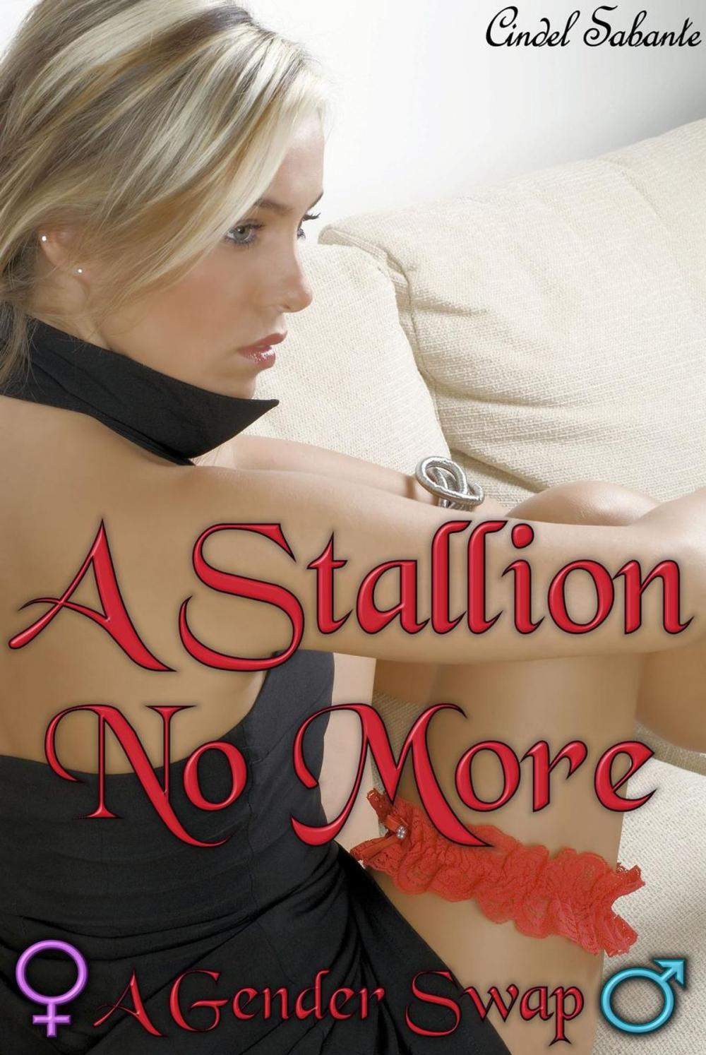 Big bigCover of A Stallion No More - A Body Swap Romance