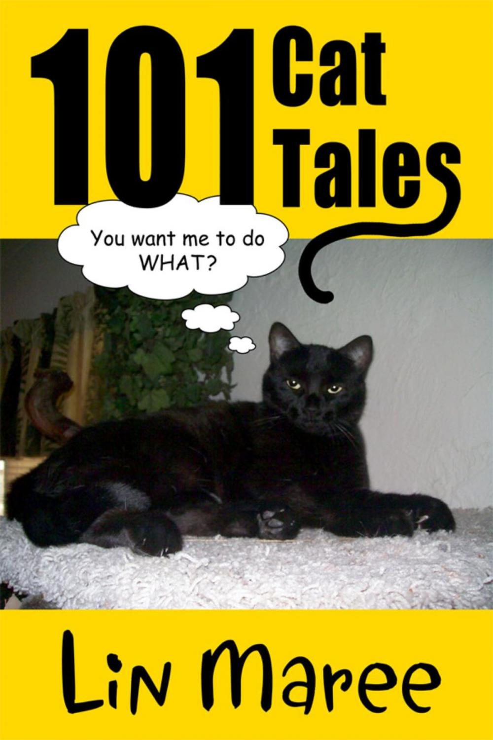 Big bigCover of 101 Cat Tales