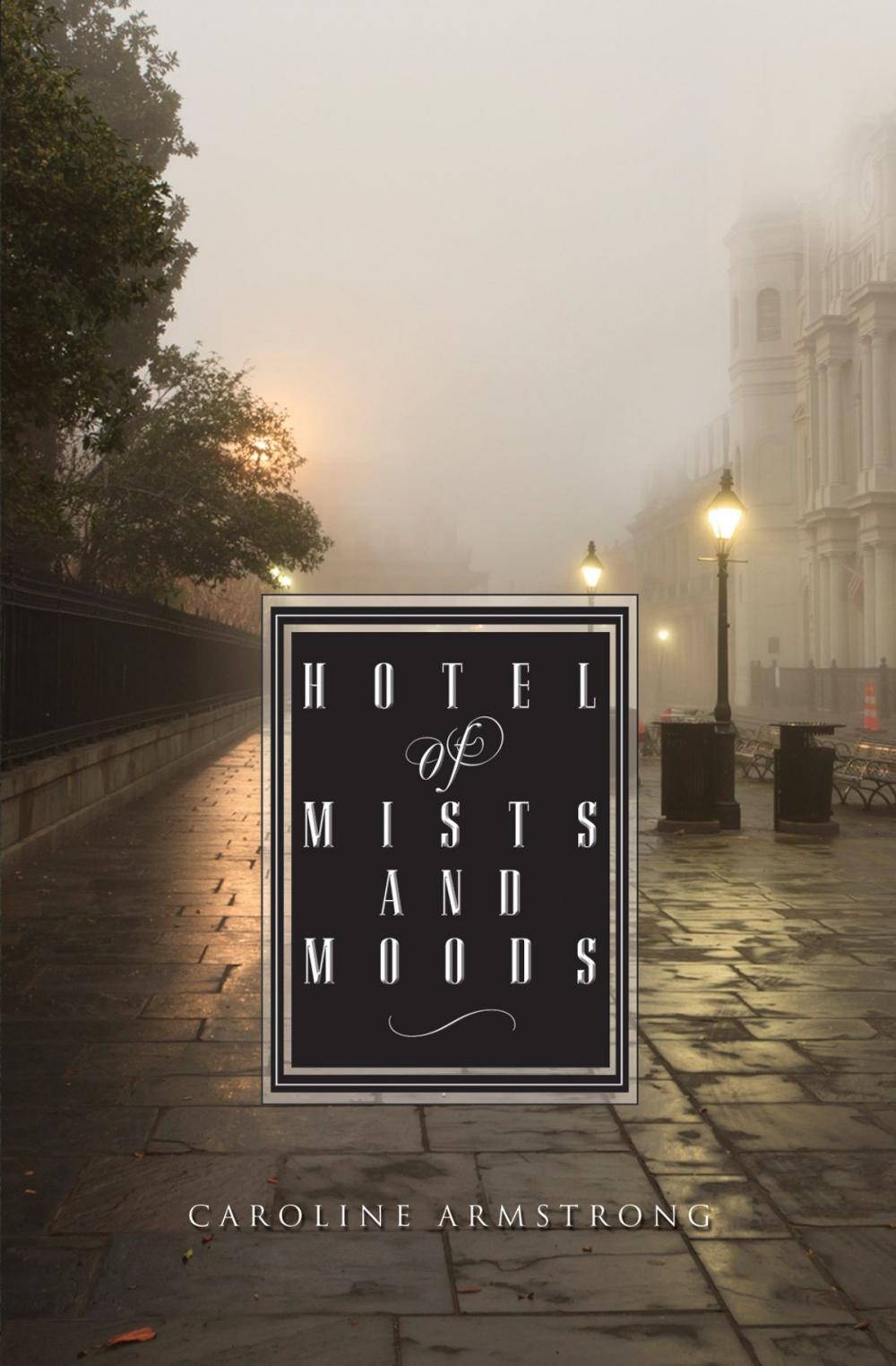 Big bigCover of Hotel of Mists and Moods