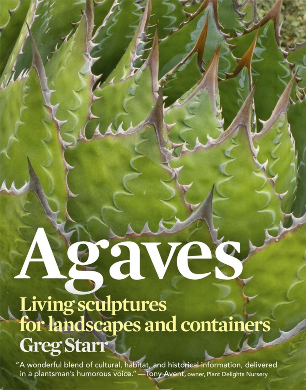 Big bigCover of Agaves