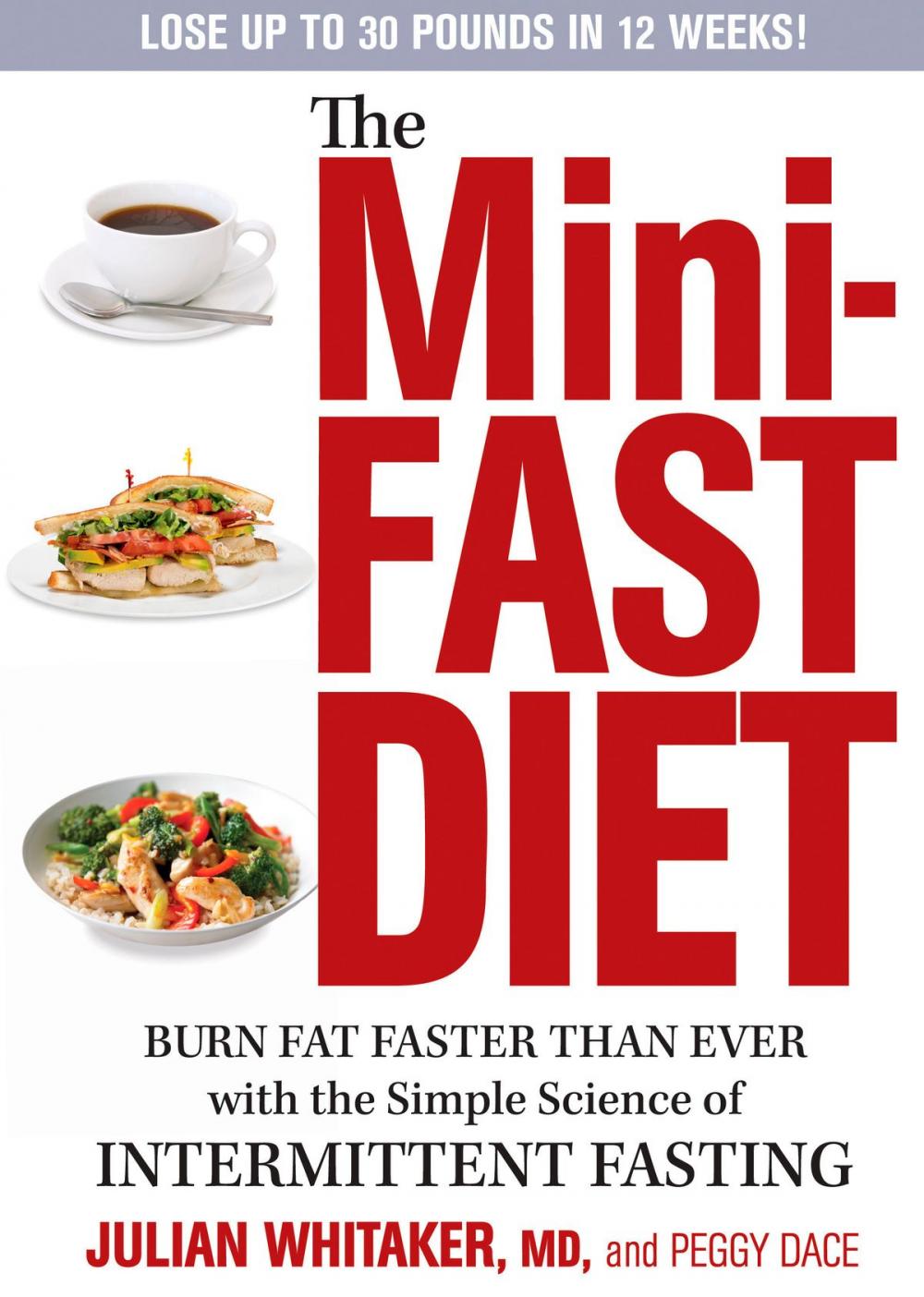 Big bigCover of The Mini-Fast Diet