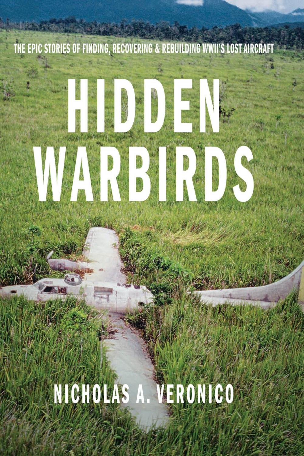 Big bigCover of Hidden Warbirds