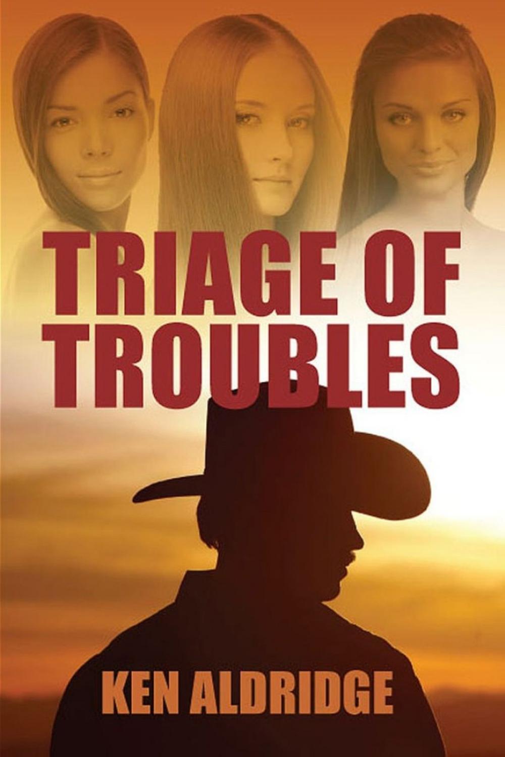 Big bigCover of Triage of Troubles