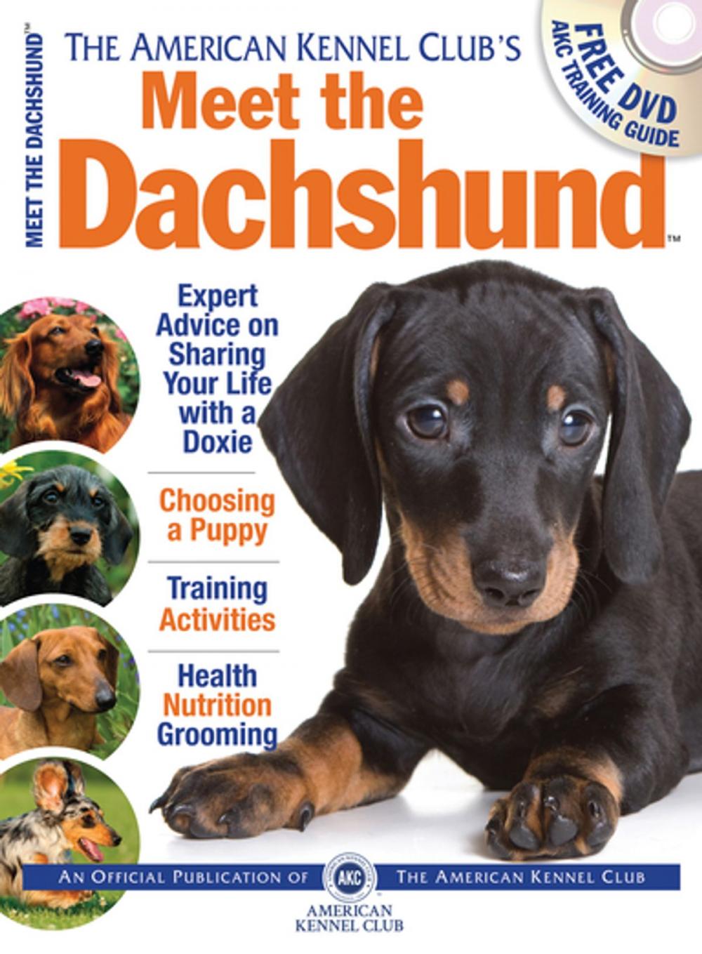 Big bigCover of Meet the Dachshund