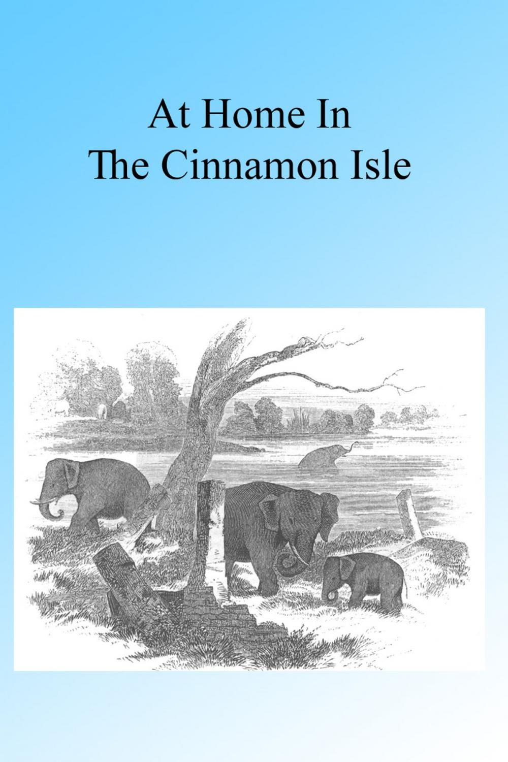 Big bigCover of At Home in the Cinnamon Isle 1855