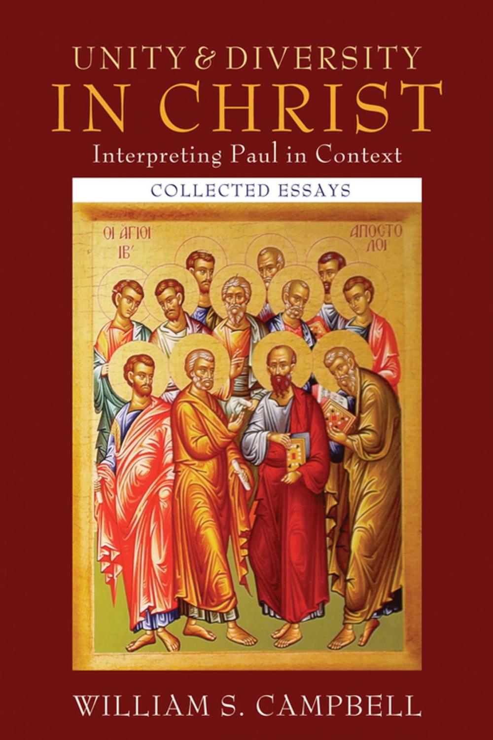 Big bigCover of Unity and Diversity in Christ: Interpreting Paul in Context