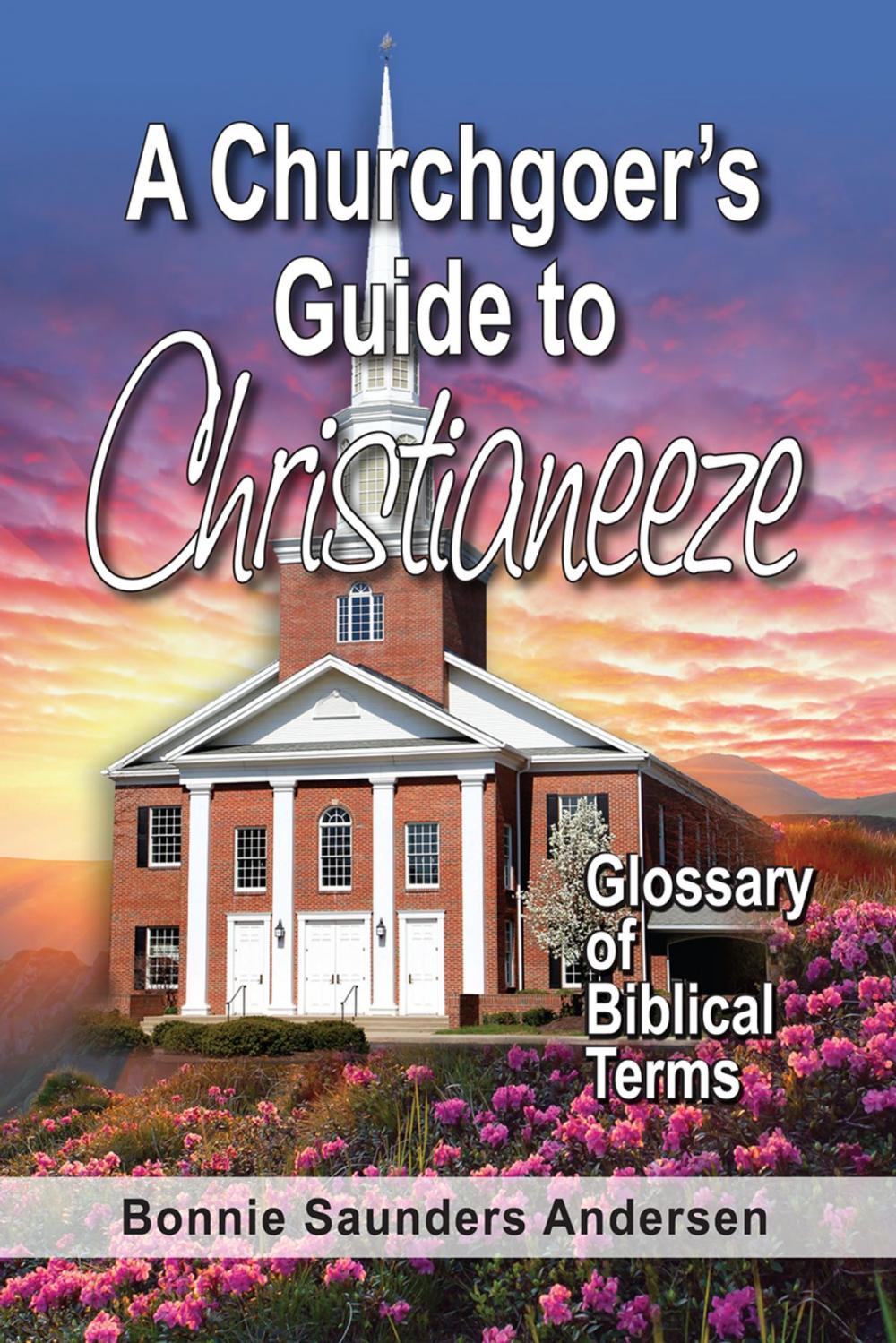 Big bigCover of A Churchgoer's Guide to Christianeeze