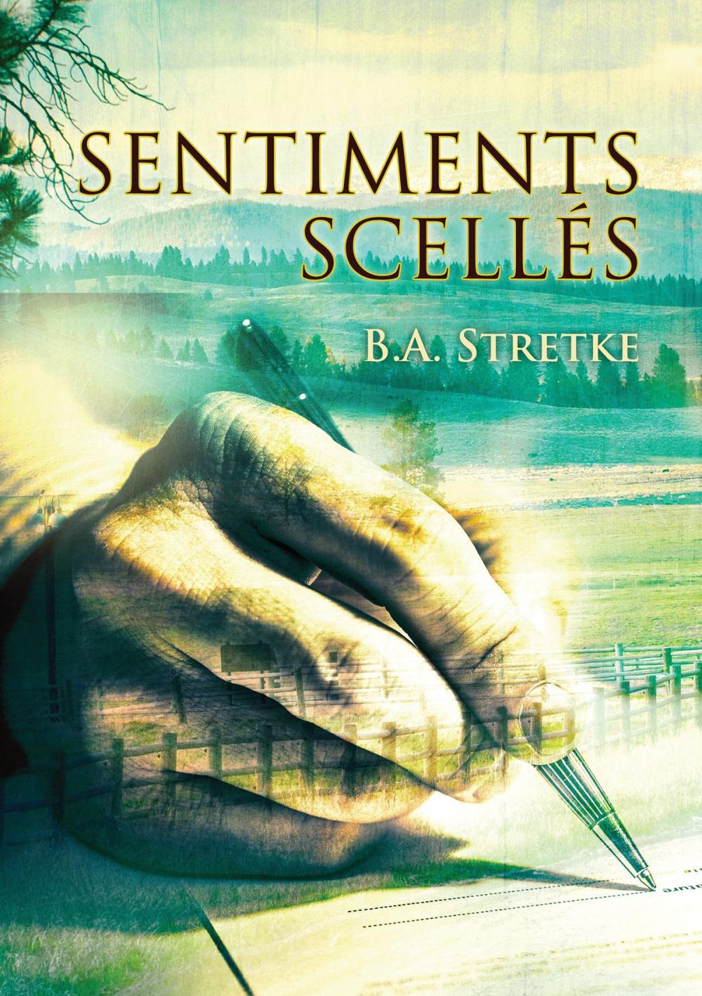 Big bigCover of Sentiments scellés