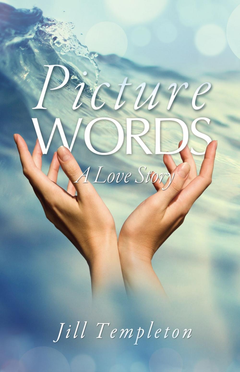 Big bigCover of Picture Words