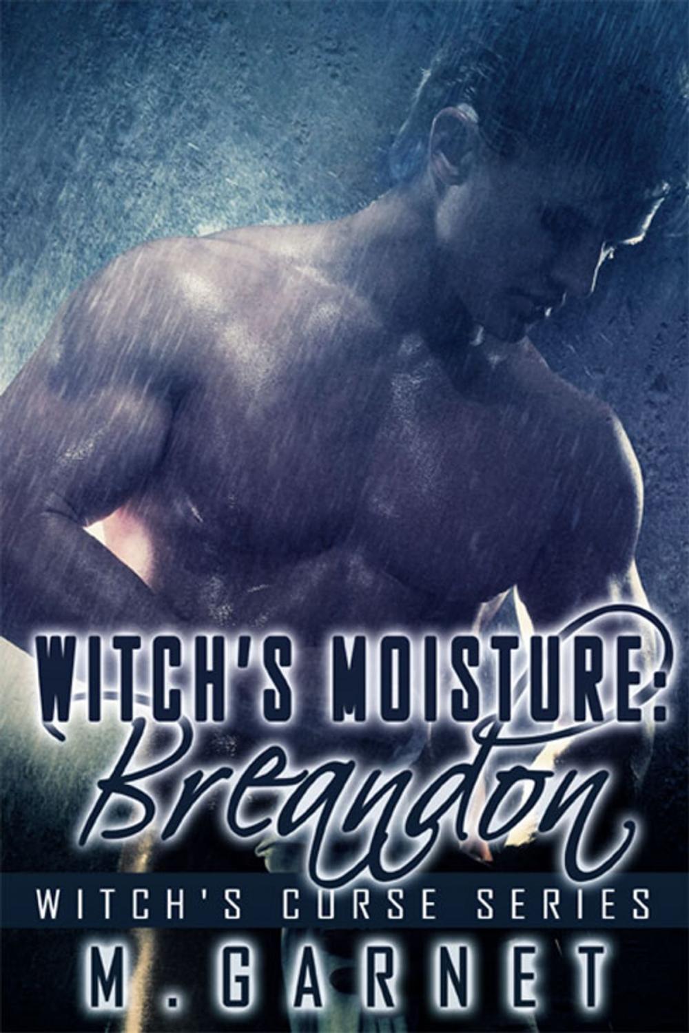 Big bigCover of Witch's Moisture: Breandon