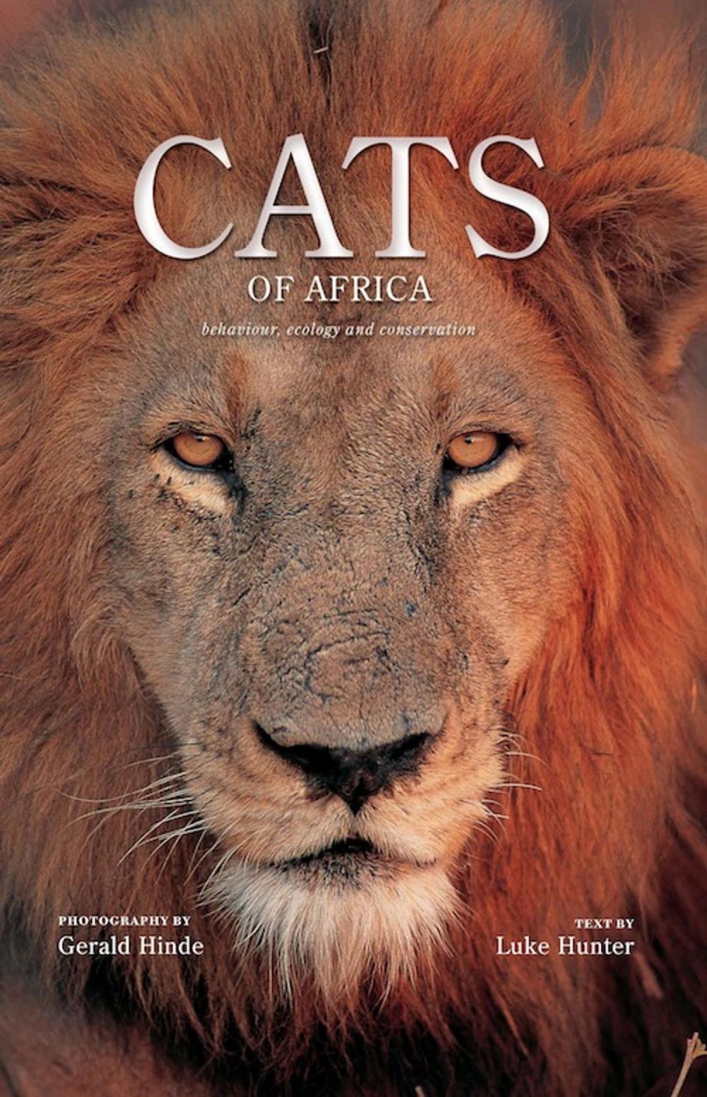 Big bigCover of Cats of Africa