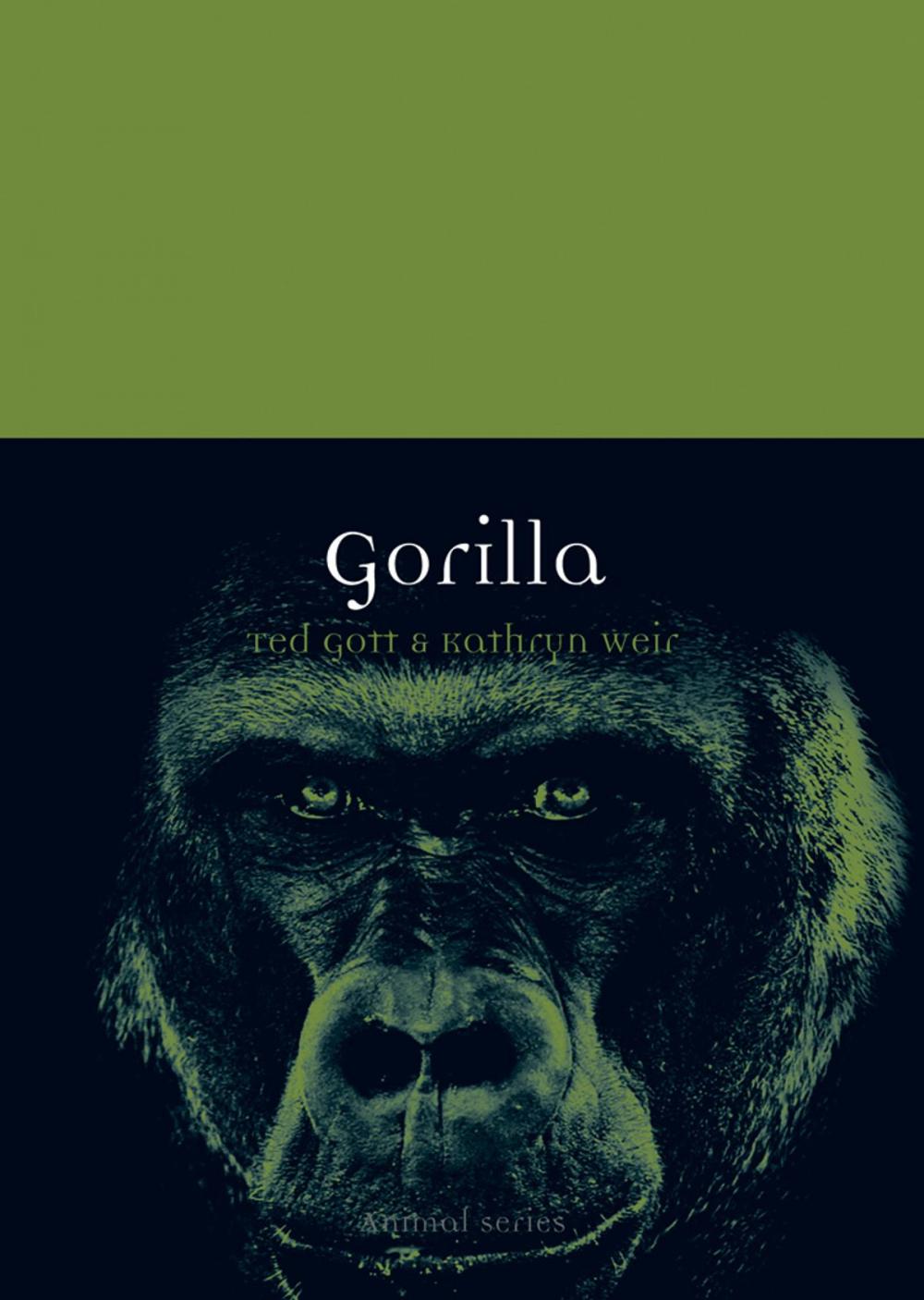 Big bigCover of Gorilla