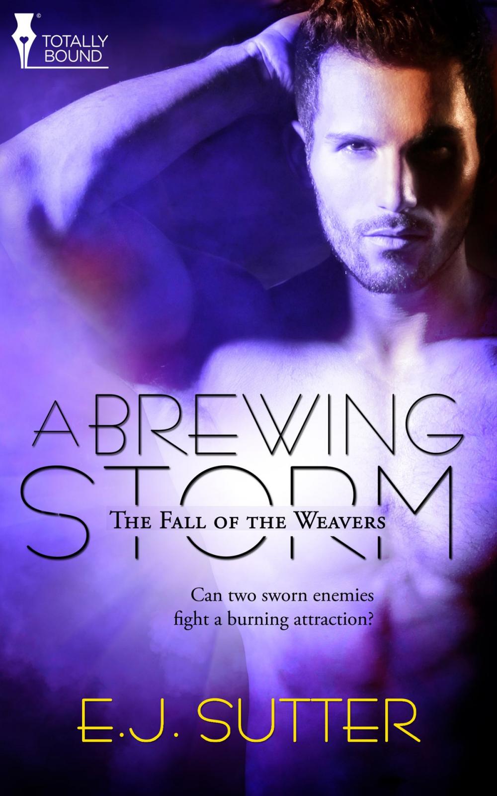 Big bigCover of A Brewing Storm