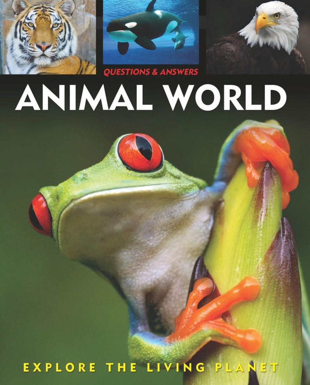 Big bigCover of Questions and Answers about: Animal World