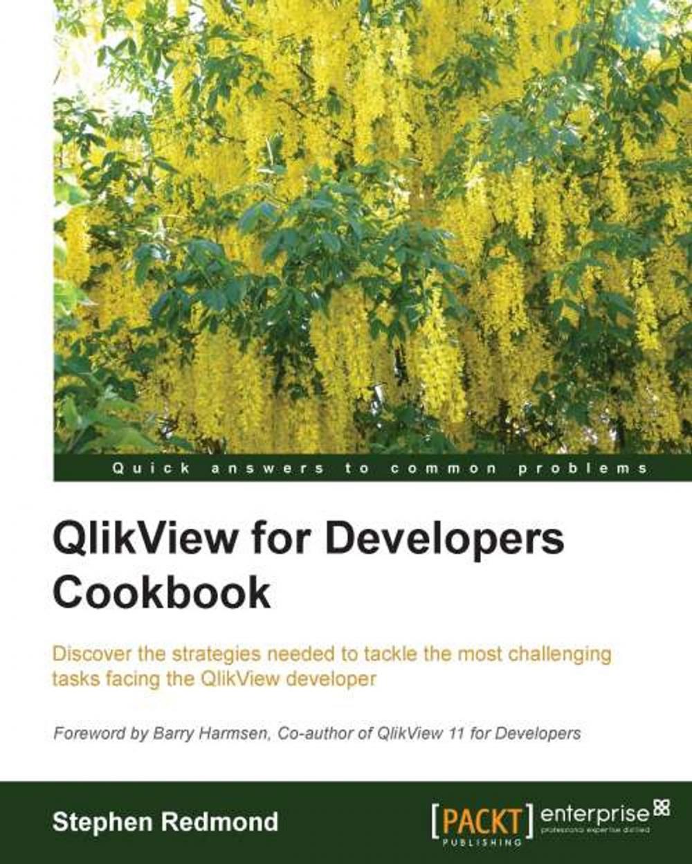 Big bigCover of QlikView for Developers Cookbook