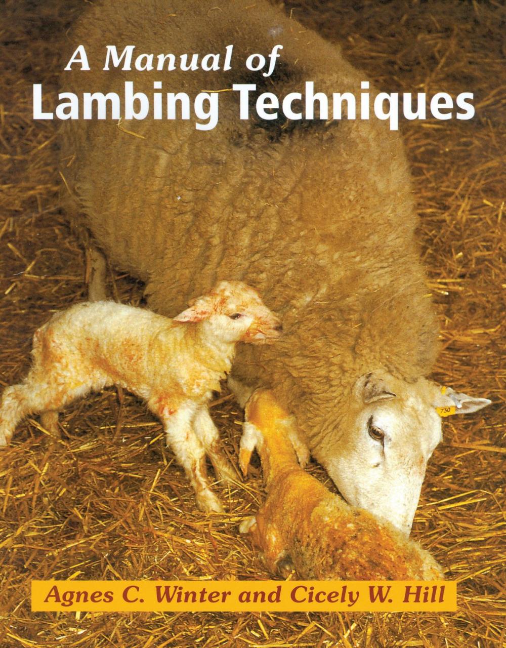 Big bigCover of Manual of Lambing Techniques