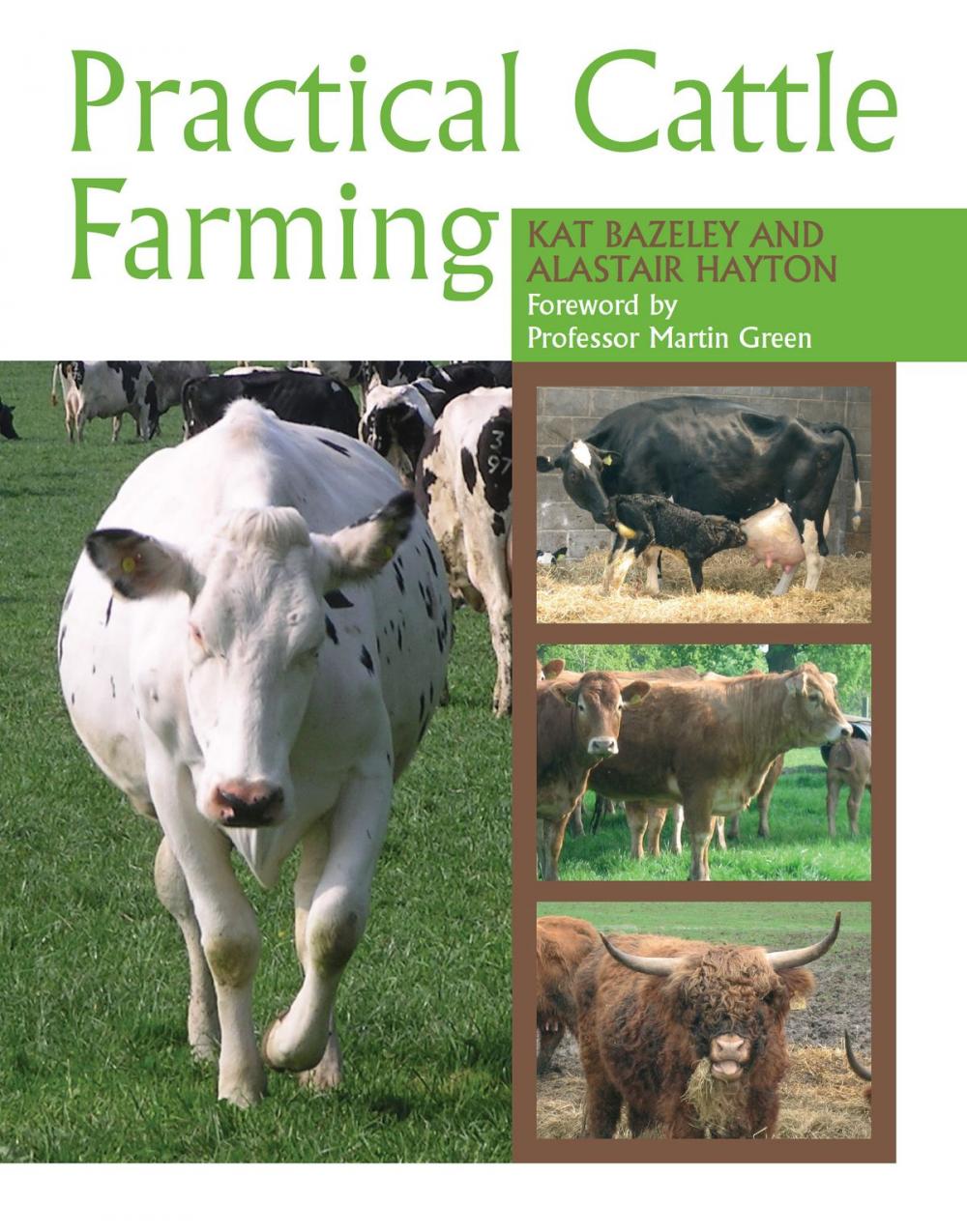 Big bigCover of Practical Cattle Farming