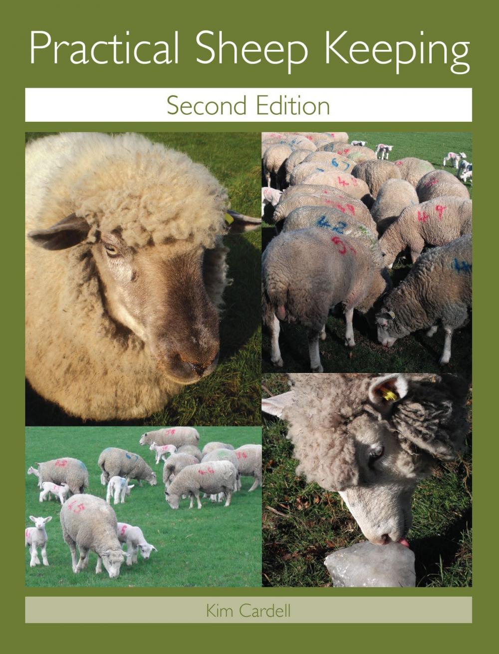 Big bigCover of Practical Sheep Keeping