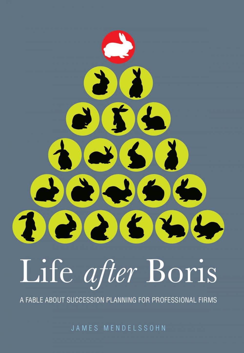 Big bigCover of Life after Boris