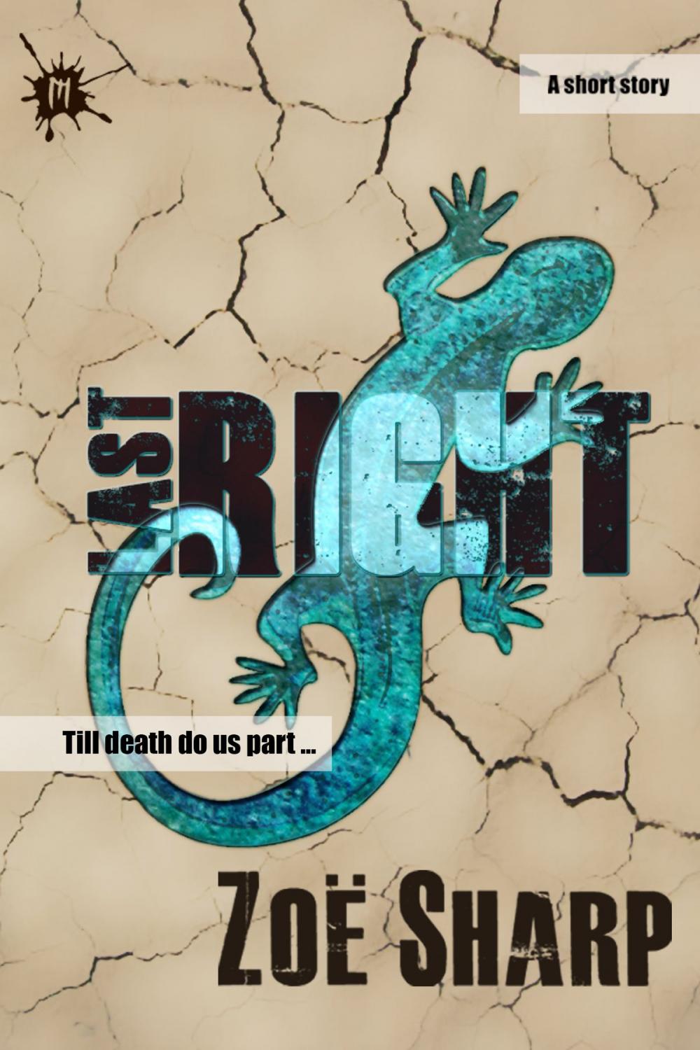 Big bigCover of Last Right: a short story