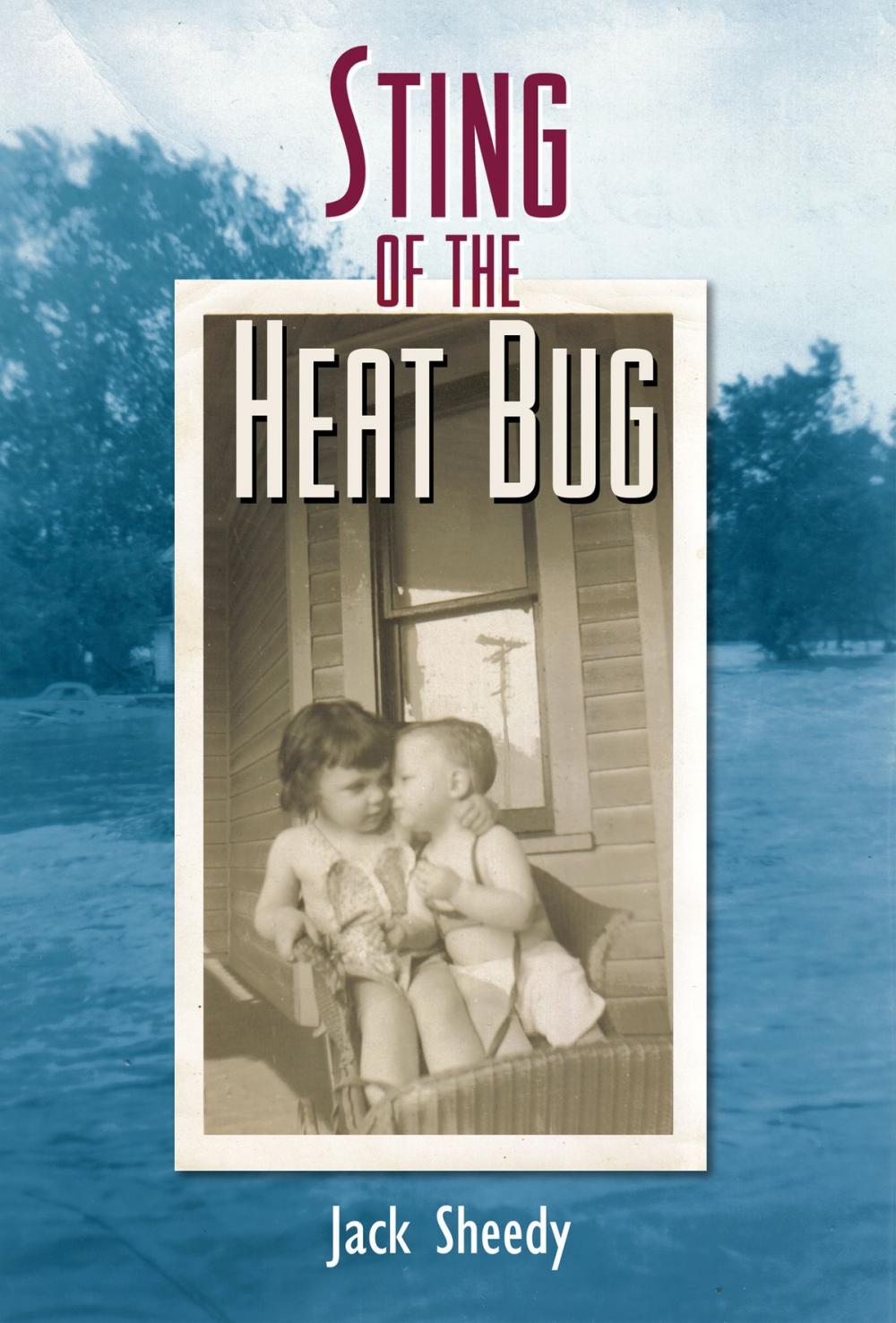 Big bigCover of Sting of the Heat Bug