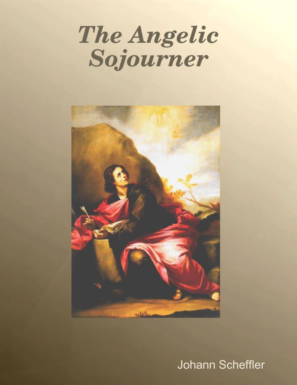 Big bigCover of The Angelic Sojourner