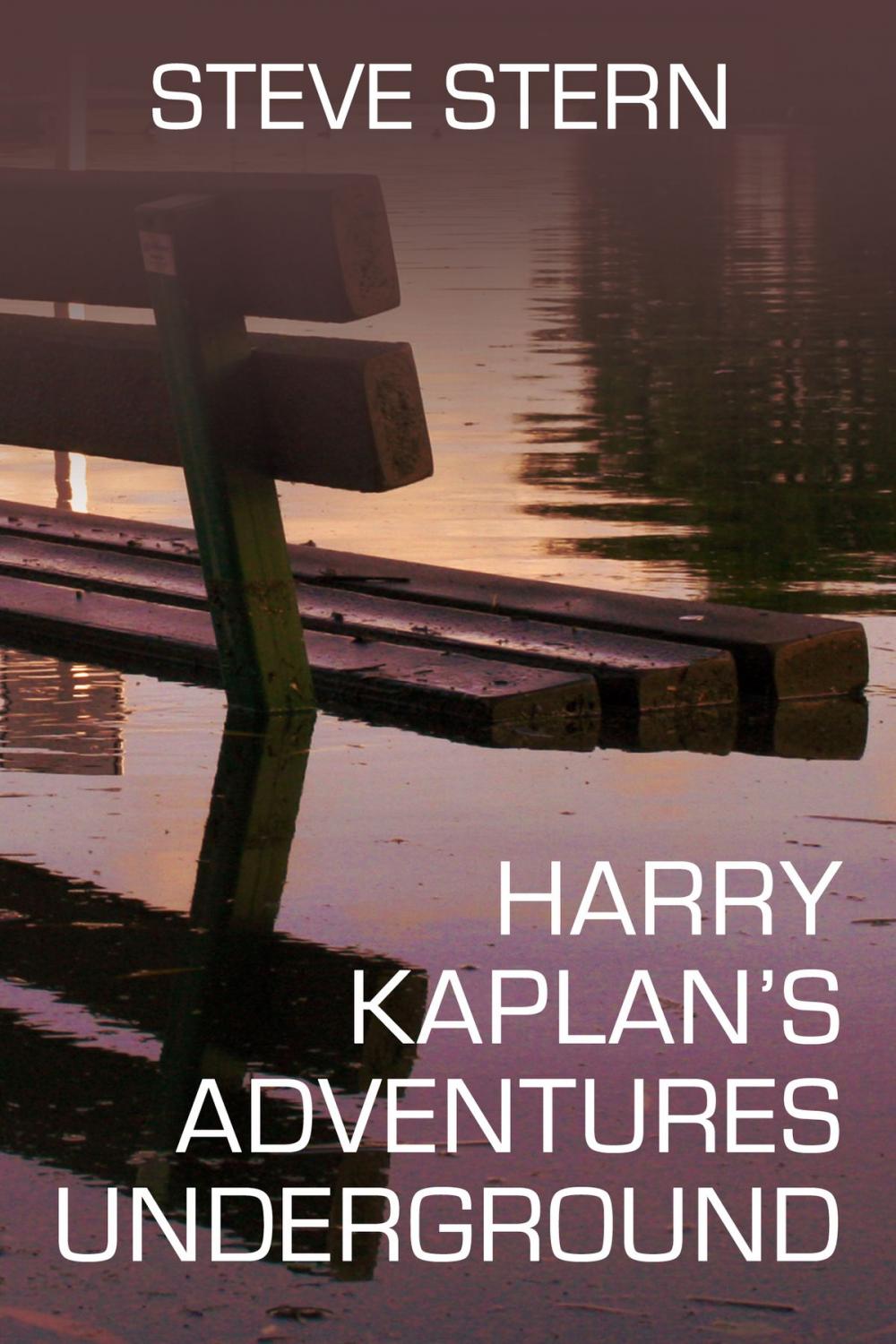 Big bigCover of Harry Kaplan's Adventures Underground