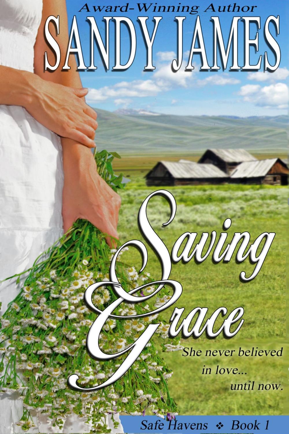 Big bigCover of Saving Grace (Safe Havens 1)