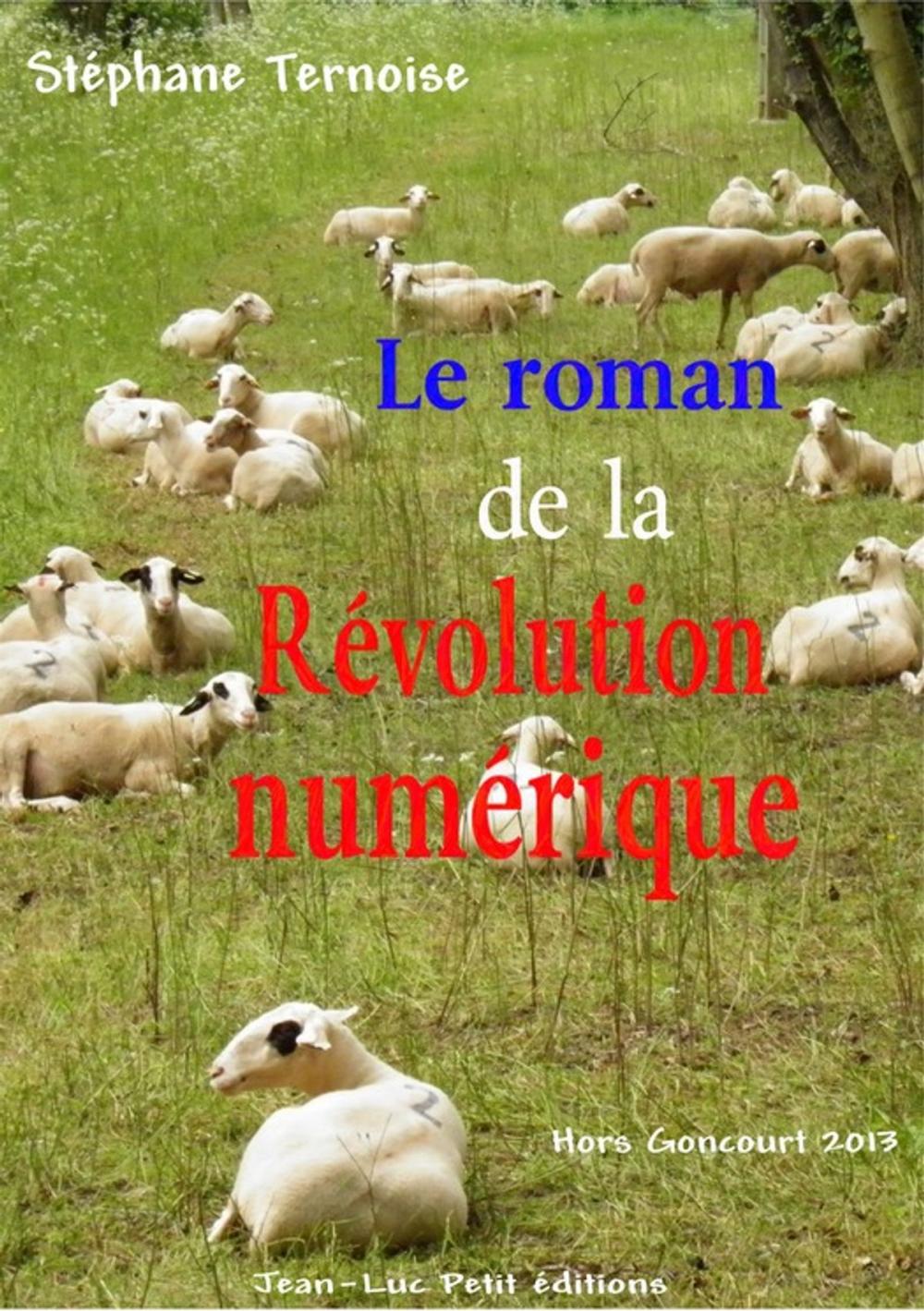 Big bigCover of Le roman de la révolution numérique