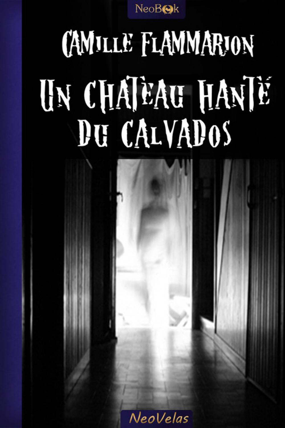 Big bigCover of Un château hanté du Calvados