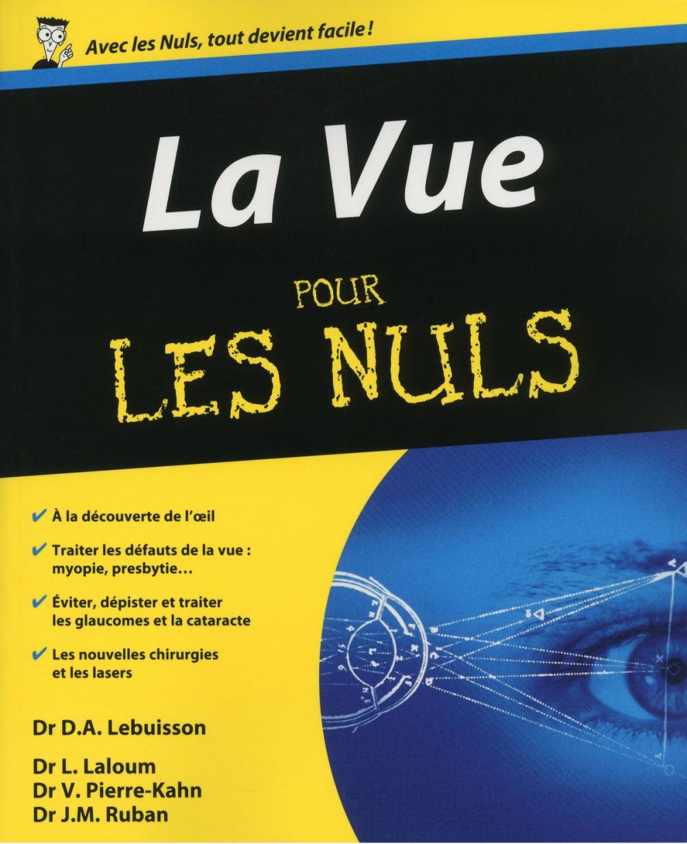 Big bigCover of La Vue Pour les Nuls