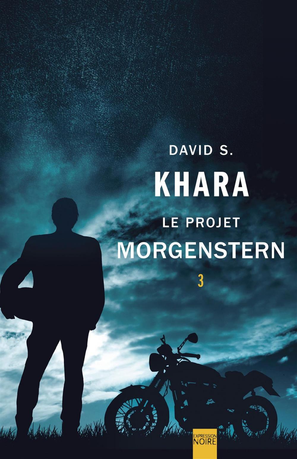 Big bigCover of Le Projet Morgenstern