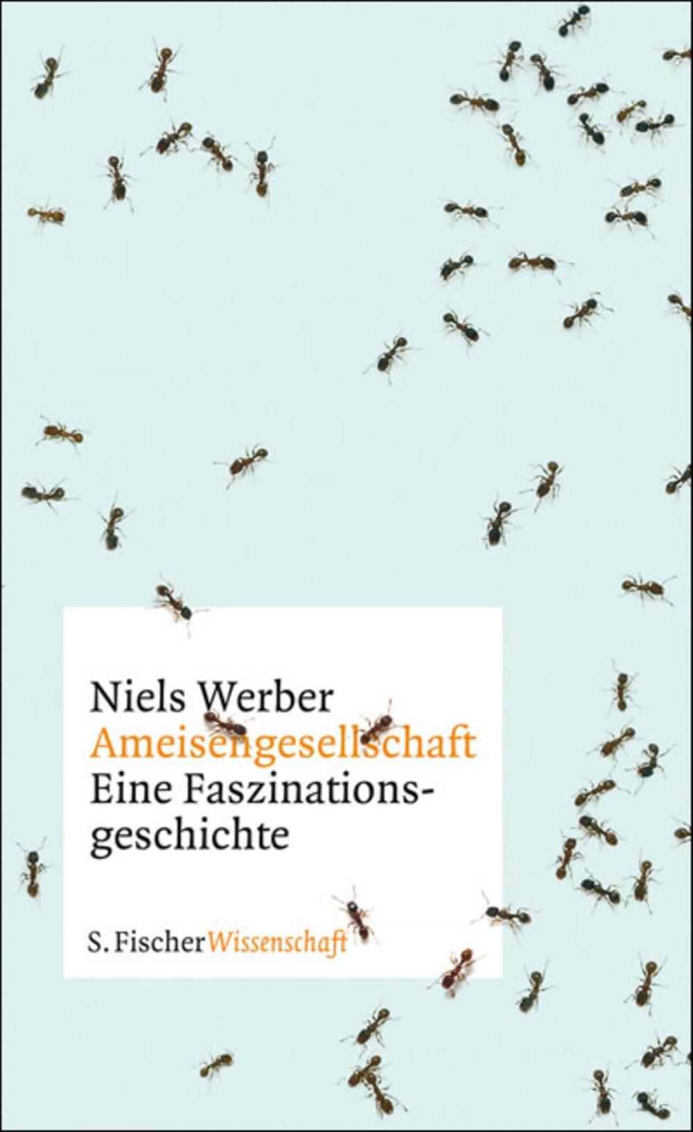 Big bigCover of Ameisengesellschaften