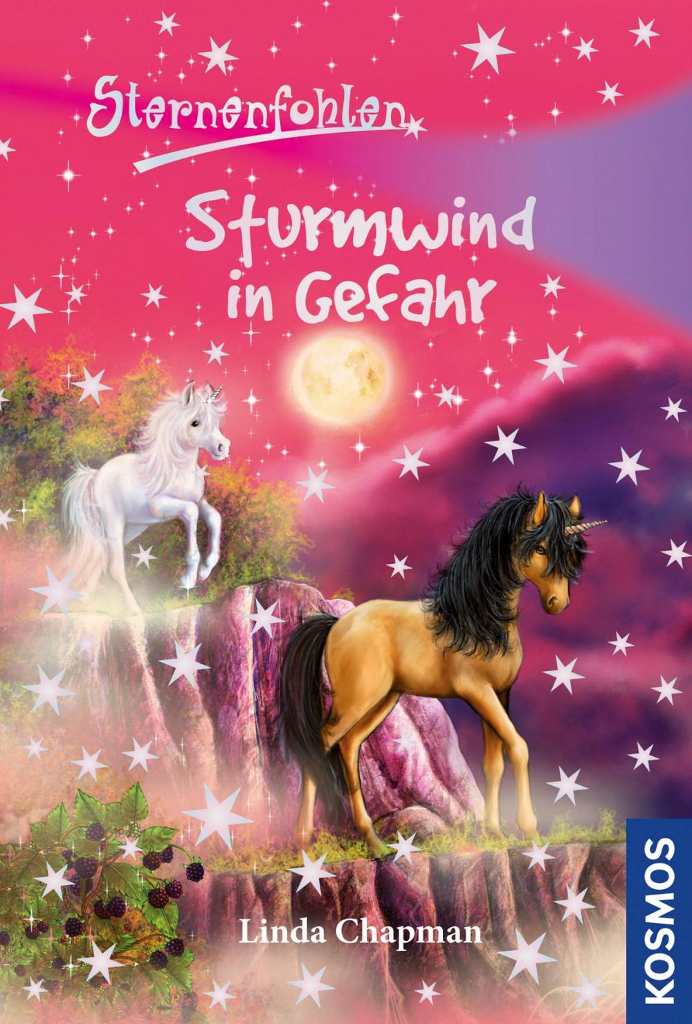 Big bigCover of Sternenfohlen, 15, Sturmwind in Gefahr