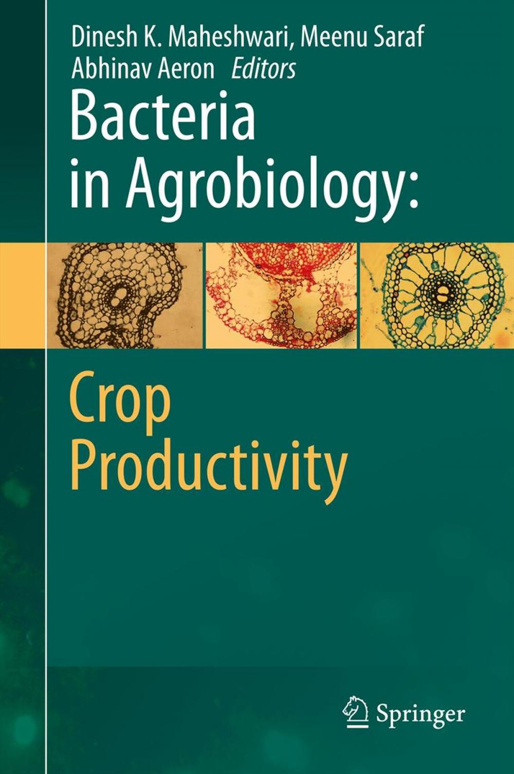 Big bigCover of Bacteria in Agrobiology: Crop Productivity