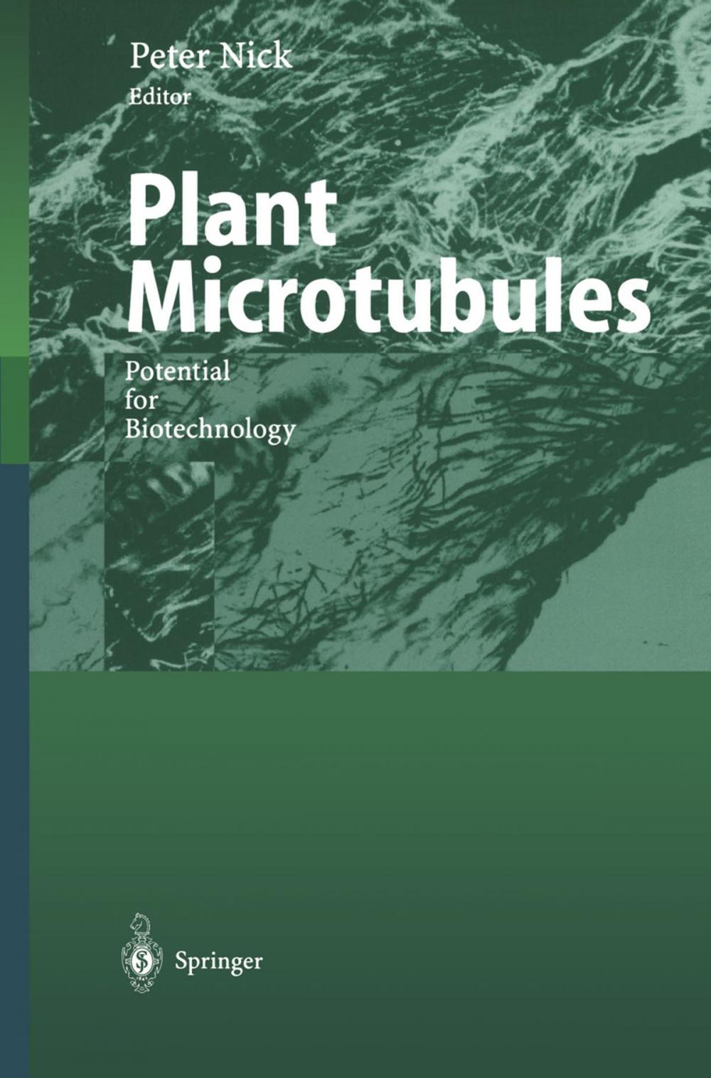 Big bigCover of Plant Microtubules